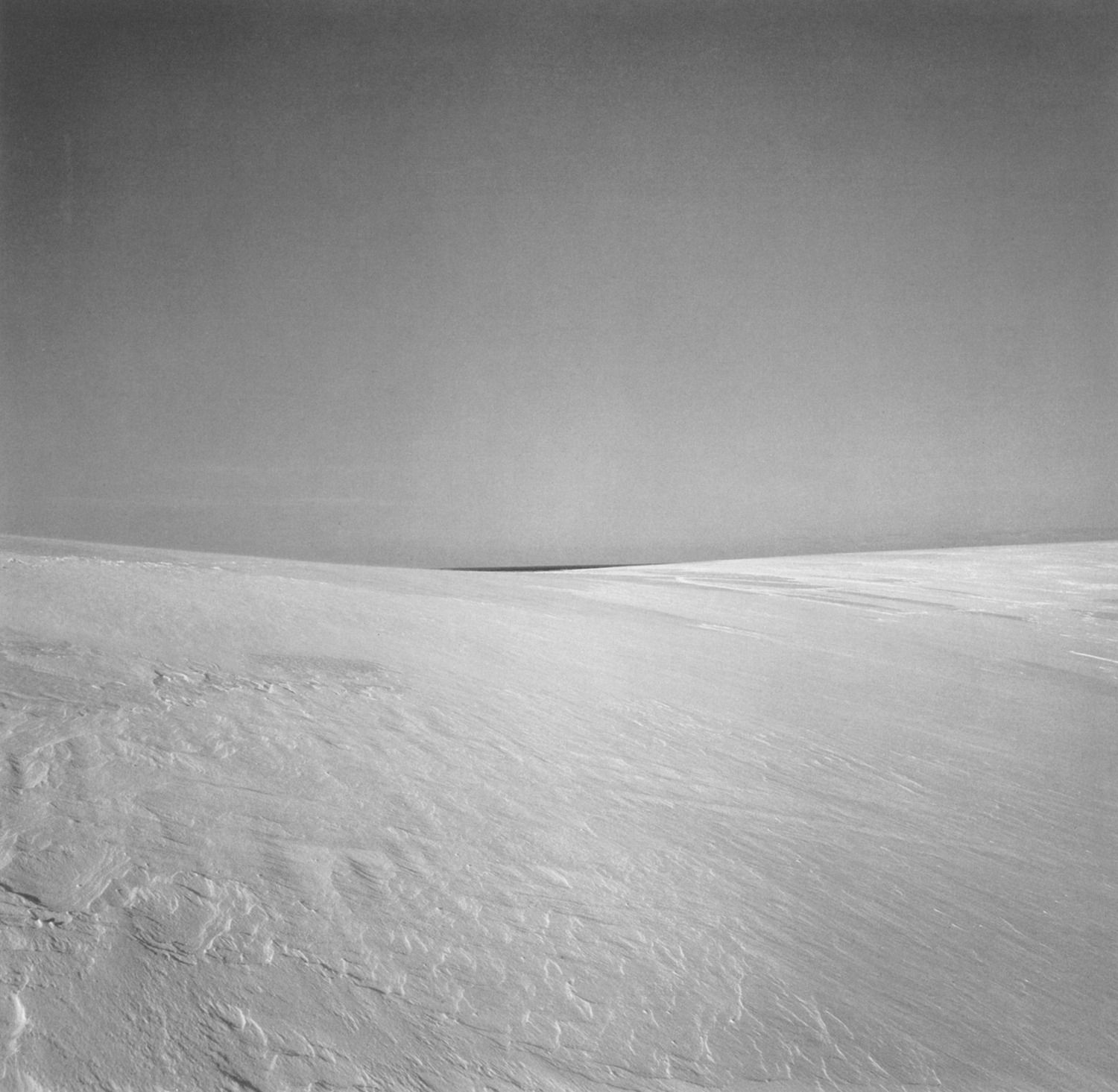 HARRY CALLAHAN, Cape Cod , 1974