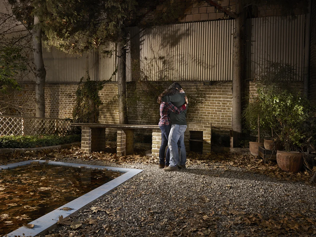 ALIREZA FANI, Embrace No. 6 , 2015