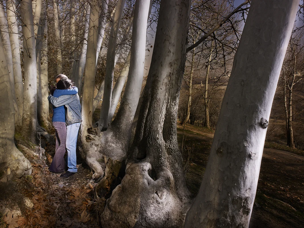ALIREZA FANI, Embrace No. 8 , 2015
