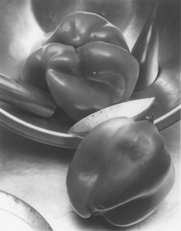JAN GROOVER, Untitled , 1979