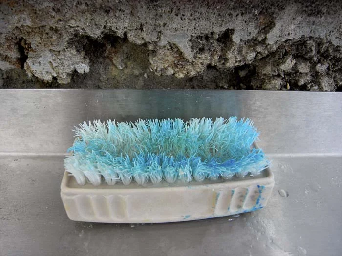 JESSICA BACKHAUS, Brush , ( One Day), 2010