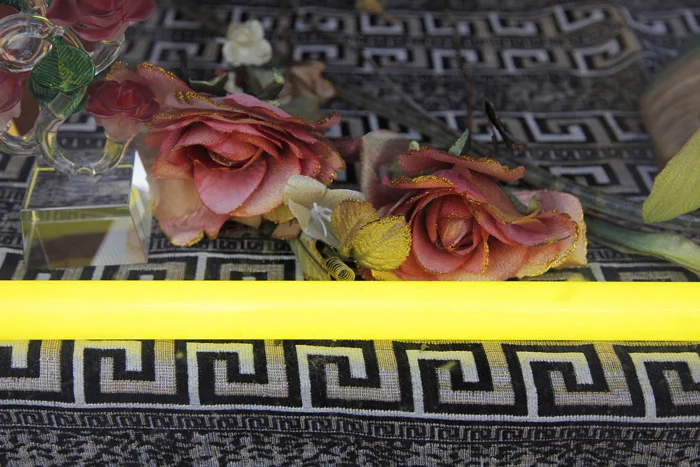 JESSICA BACKHAUS, Roses in Neonlight ( One Day), 2010