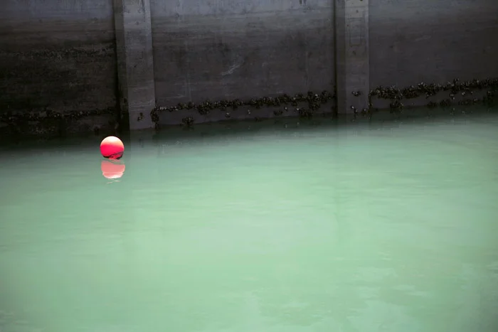JESSICA BACKHAUS, Harbor ( Once, Still and Forever ), 2011