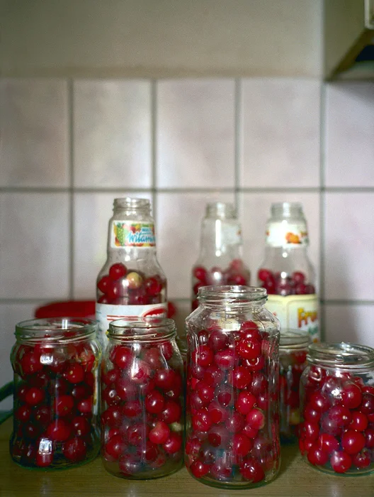 JESSICA BACKHAUS, Cherries (One Day in November) , 2002