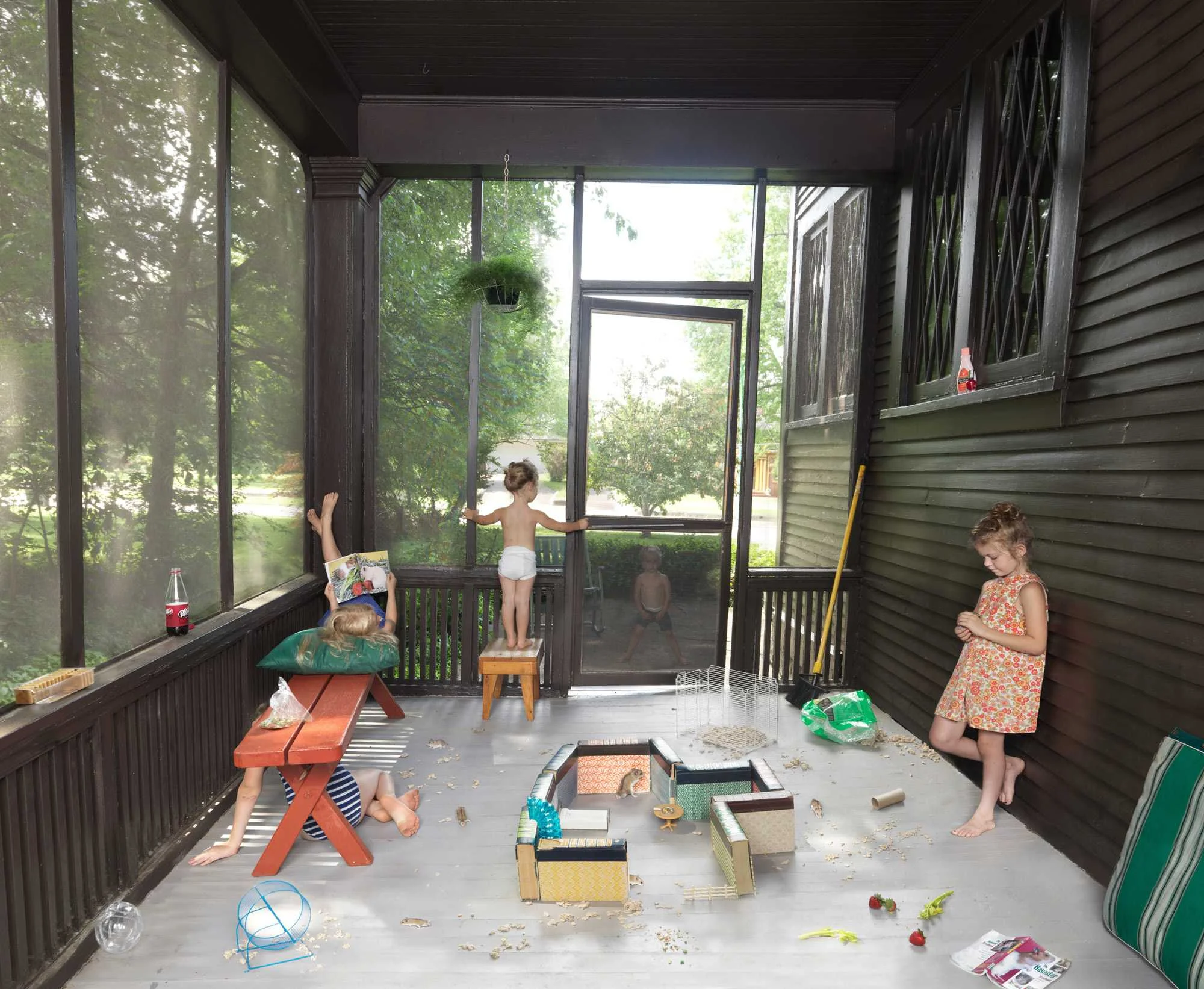 JULIE BLACKMON, The Hamster Handbook (Homegrown) , 2014