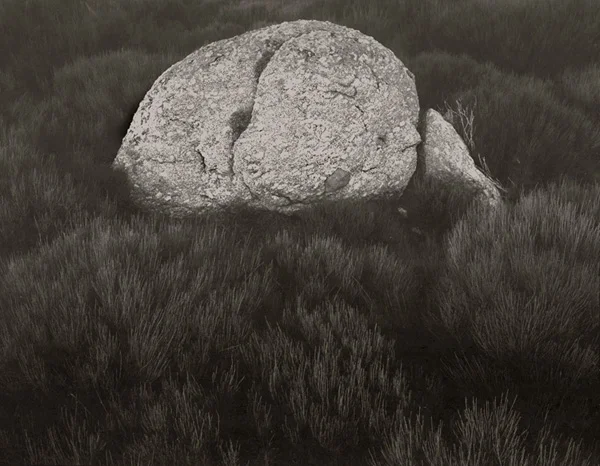 KOICHIRO KURITA, Rock on Gonet, Lozere, France, 1996