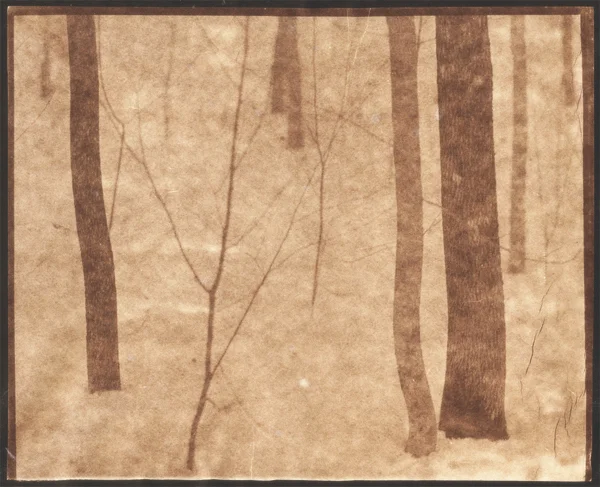 KOICHIRO KURITA, Snow Slope, Montville, Maine, 2013