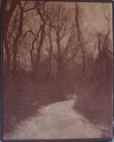 KOICHIRO KURITA, Winter Path, Concord, Massachusetts, 2014
