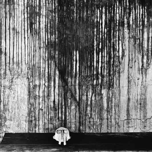 ROGER BALLEN, Ape Skull, 2002