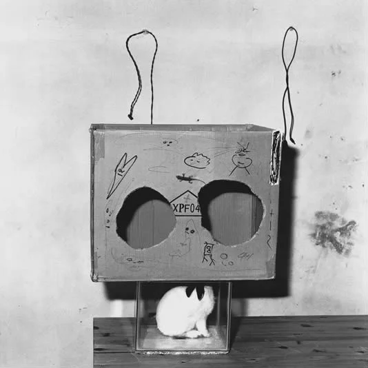 ROGER BALLEN, Boxed Rabbit, 2002