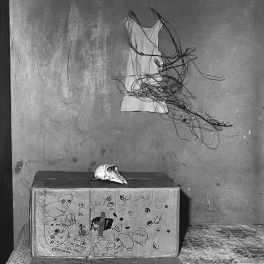 ROGER BALLEN, Cat in Box, 2002
