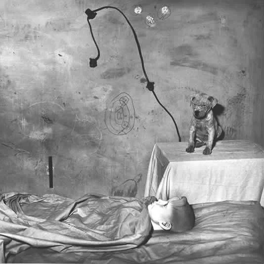 ROGER BALLEN, Chamber of the Enigma, 2003