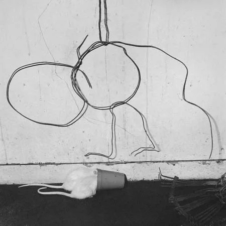 ROGER BALLEN, Stalked, 2005