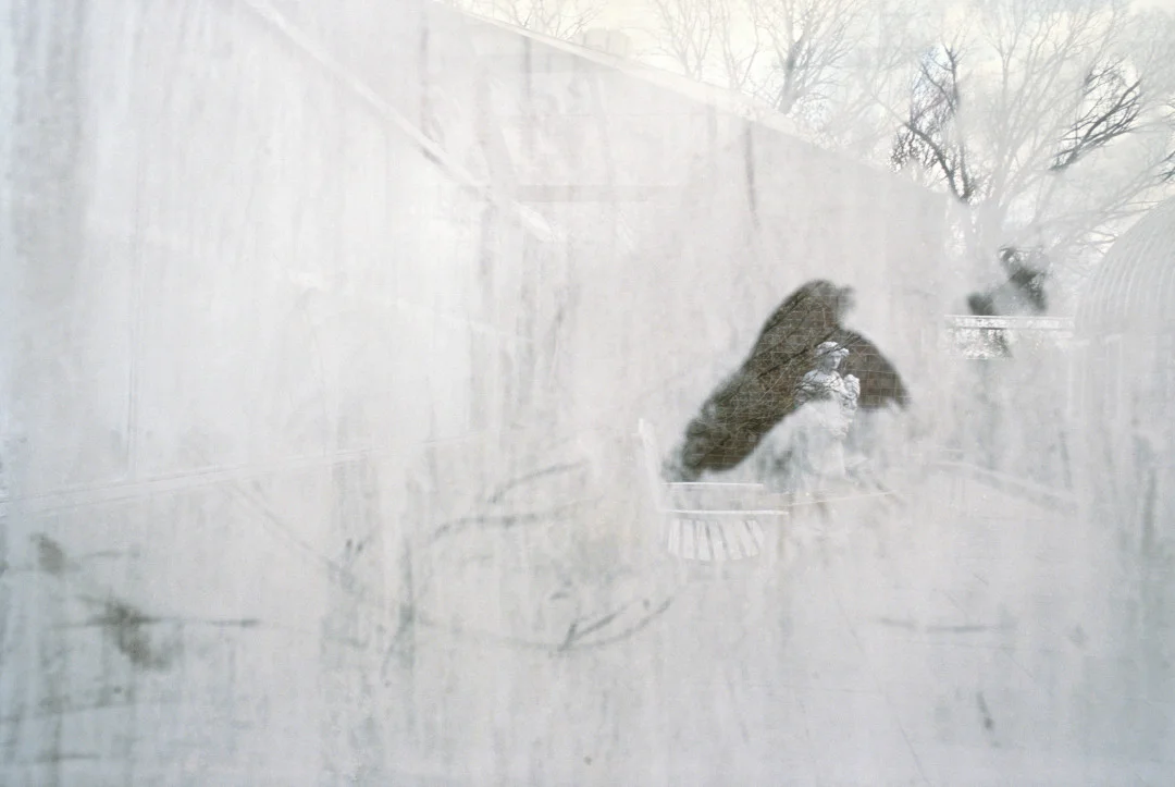 REBECCA NORRIS WEBB, Memory City, Rochester, New York, 2012