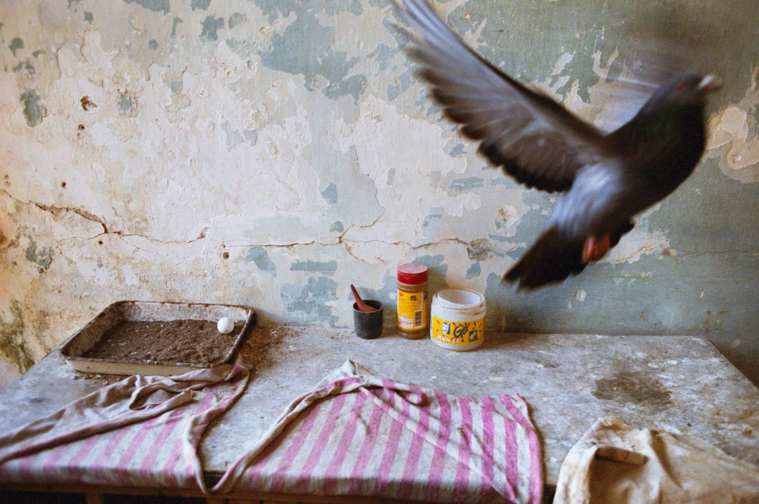 REBECCA NORRIS WEBB, Havana, Cuba, 2007