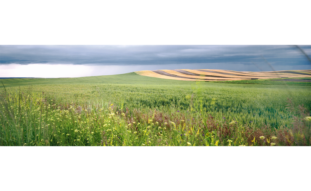 Dupuyer, Montana