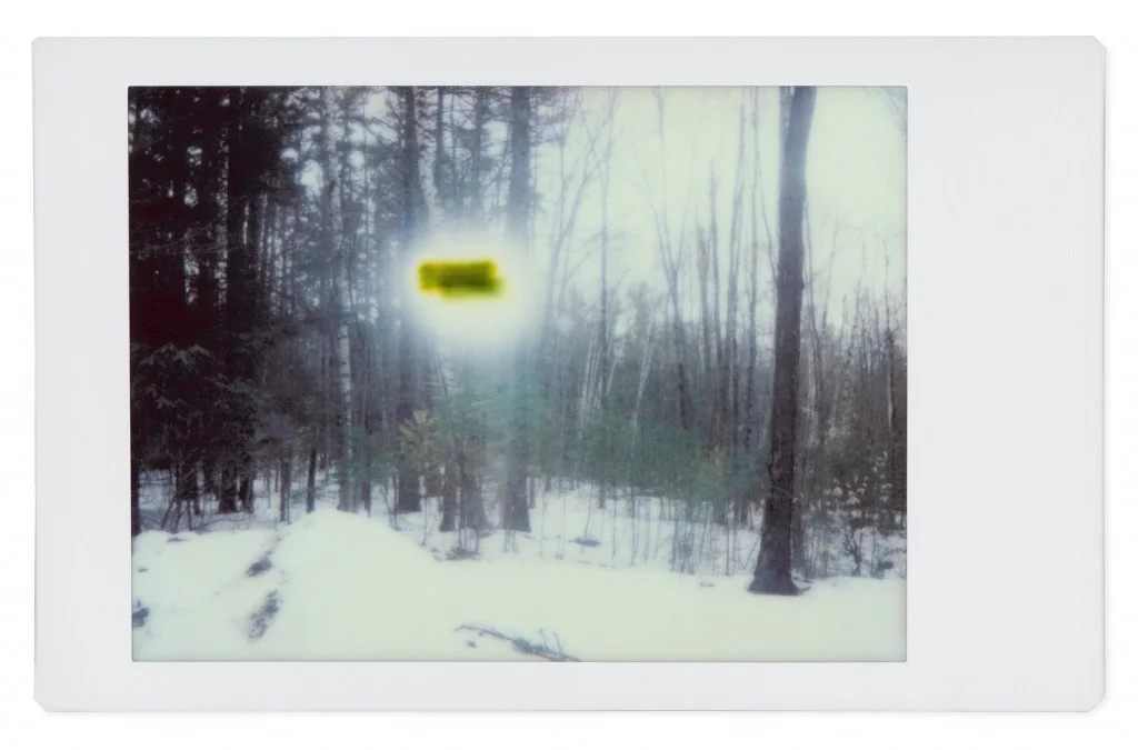 GOHAR DASHTI, Alien No. 8 , 2017