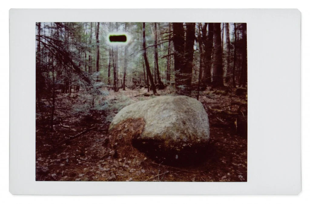 GOHAR DASHTI, Alien No. 12 , 2017