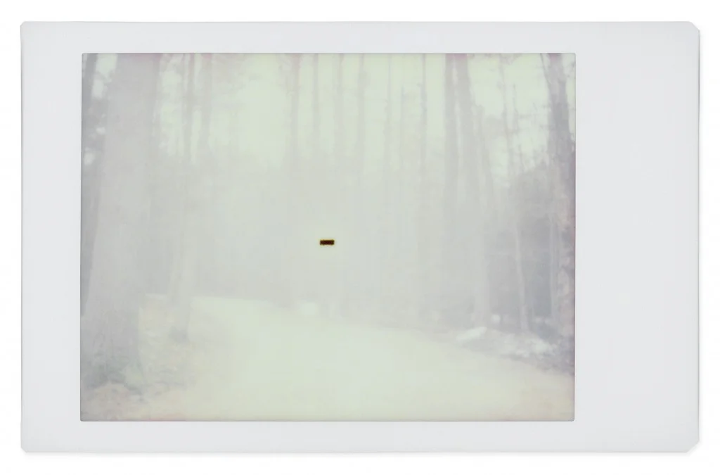 GOHAR DASHTI, Alien No. 14 , 2017