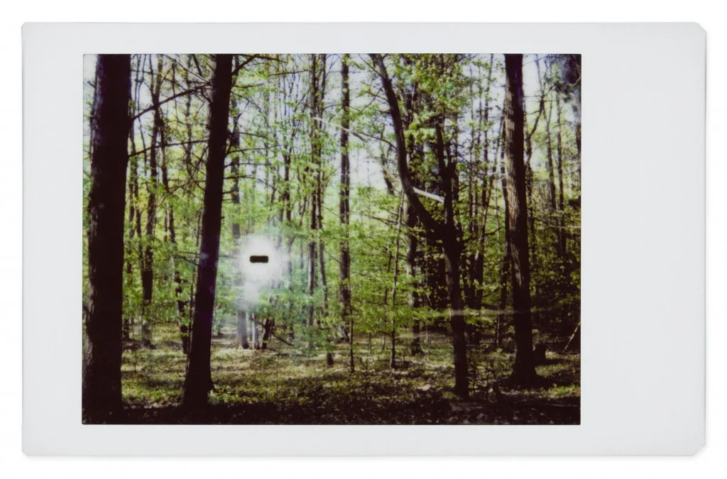GOHAR DASHTI, Alien No. 15 , 2017