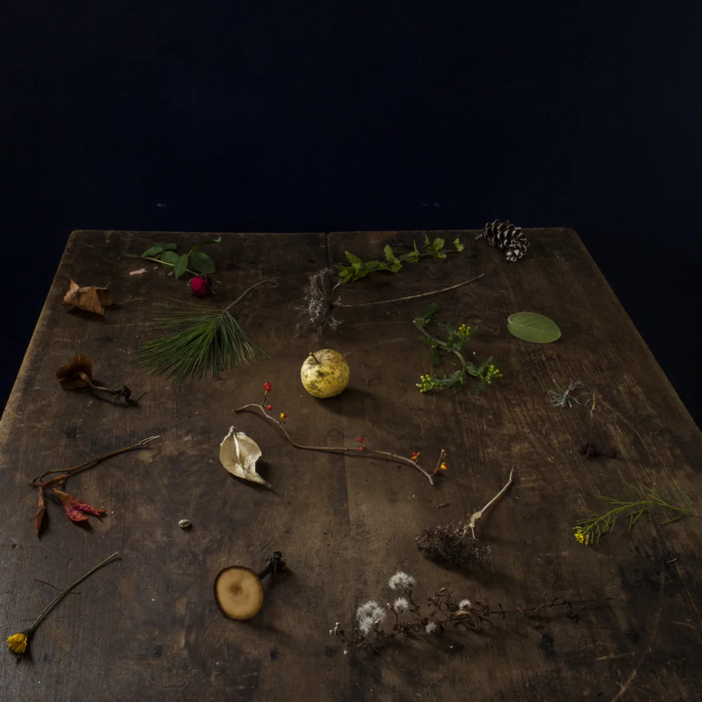 CIG HARVEY, The Fall Table , 2013