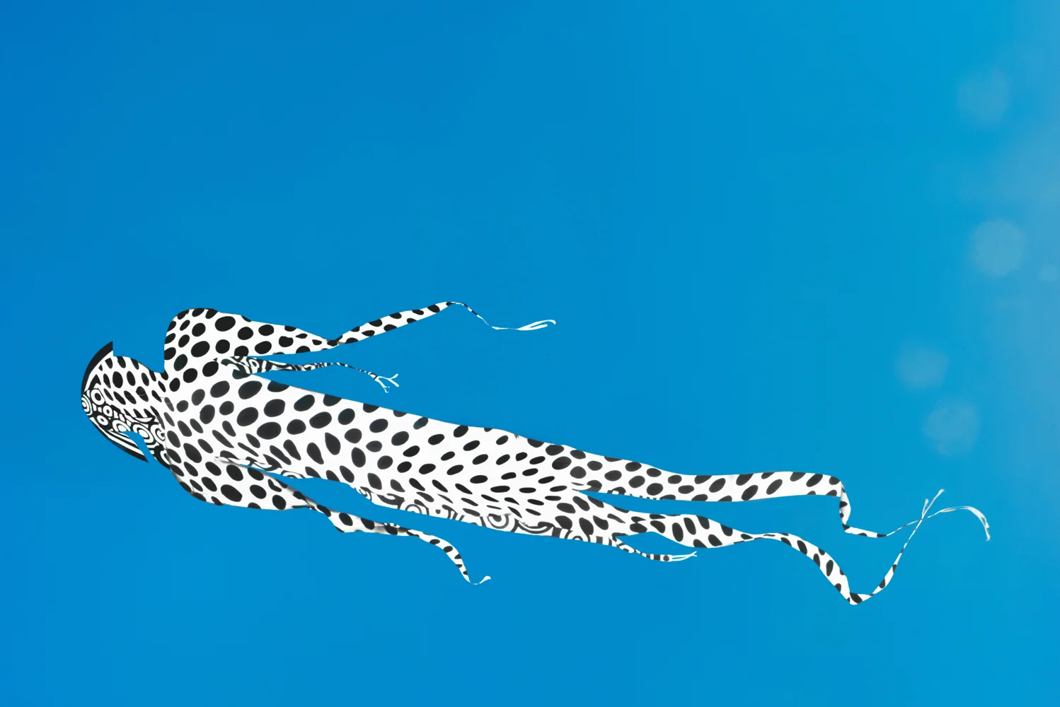 SALLY BGALL, Falling, 2017