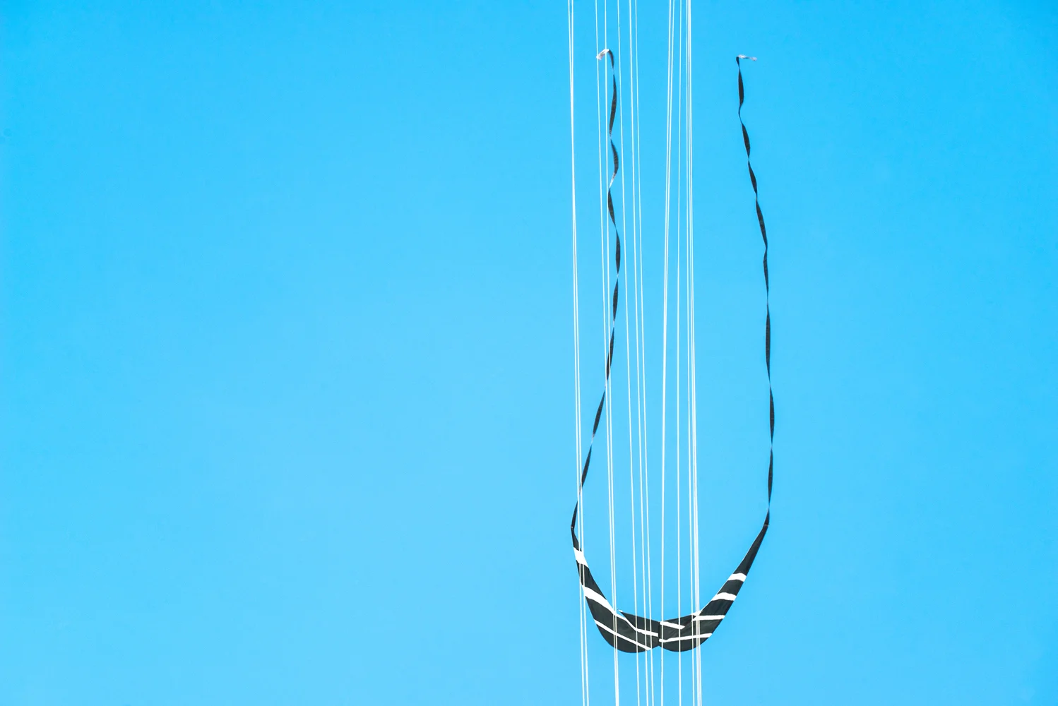 SALLY GALL, Striptease, 2018