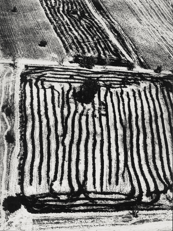 Giacomelli_Peasaggio12_1978.jpg