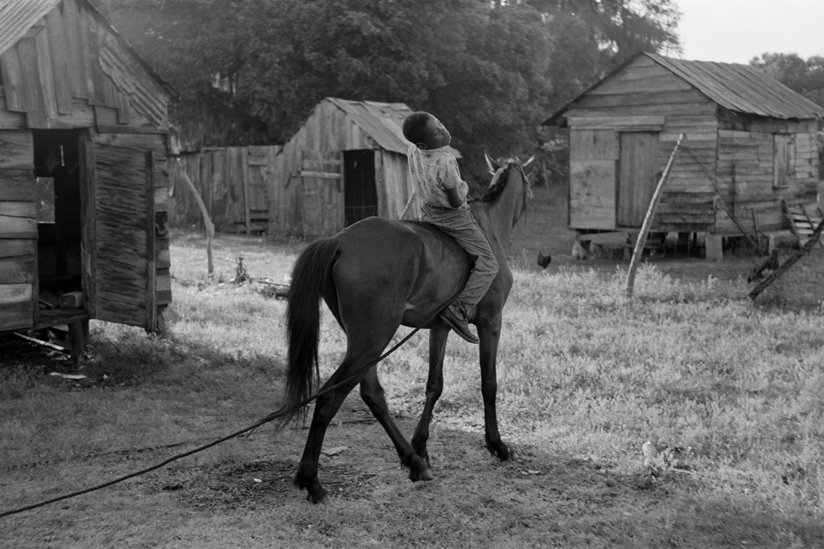 CONSTANTINE MANOS, Untitled, Island Boy, Daufuskie Island, South Carolina (boy on horse), 1952
