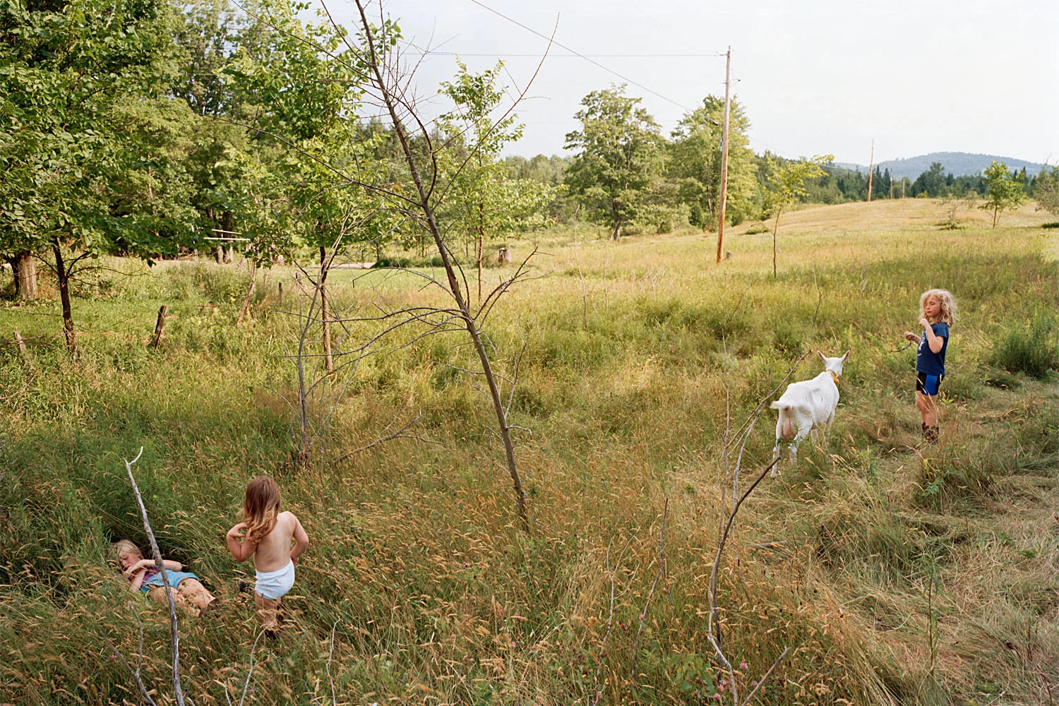 SHERON RUPP, Newport, Vermont , 1990