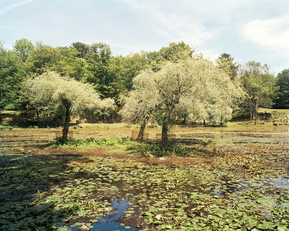 SHERON RUPP, Innisfree Garden, New York , 2008