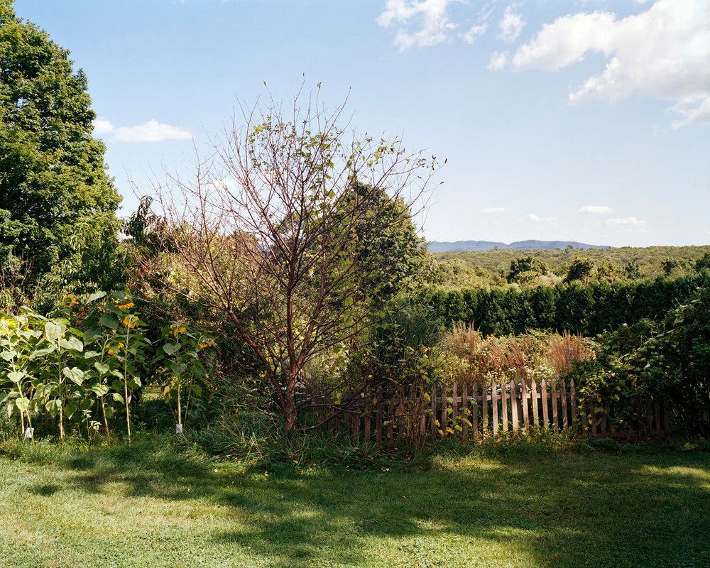 SHERON RUPP, Northampton, Massachusetts , 2008