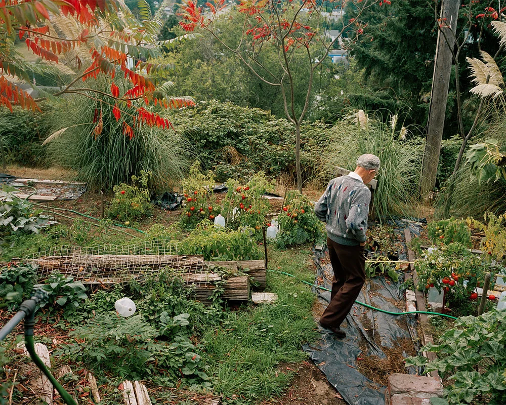 SHERON RUPP, West Seattle, Washington , 1983-2008