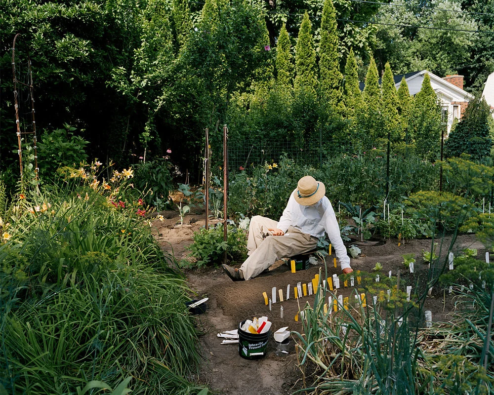 SHERON RUPP, Northampton, Massachusetts , 1983-2008