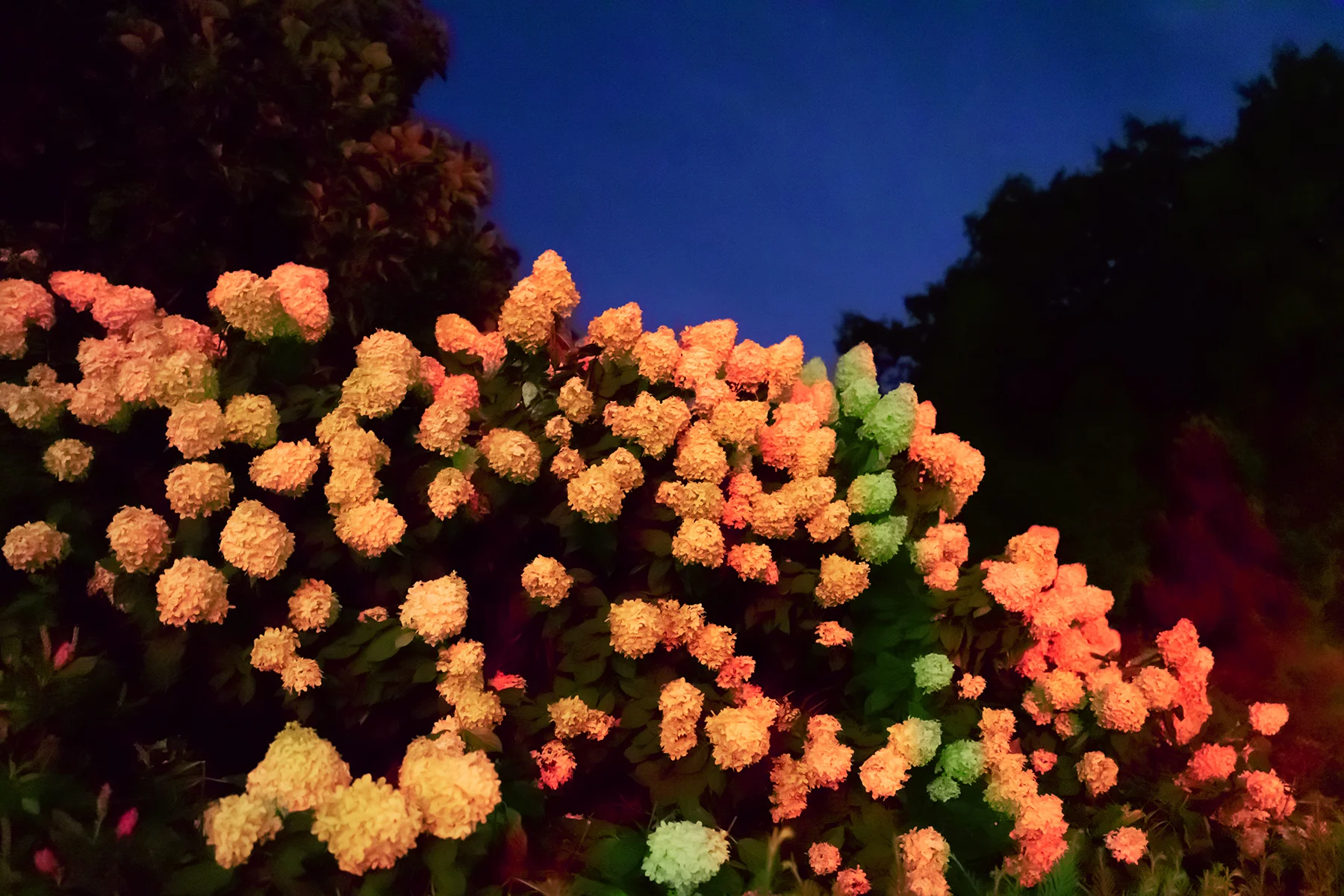 REBECCA NORRIS WEBB, Night Before Aretha Died , 2018