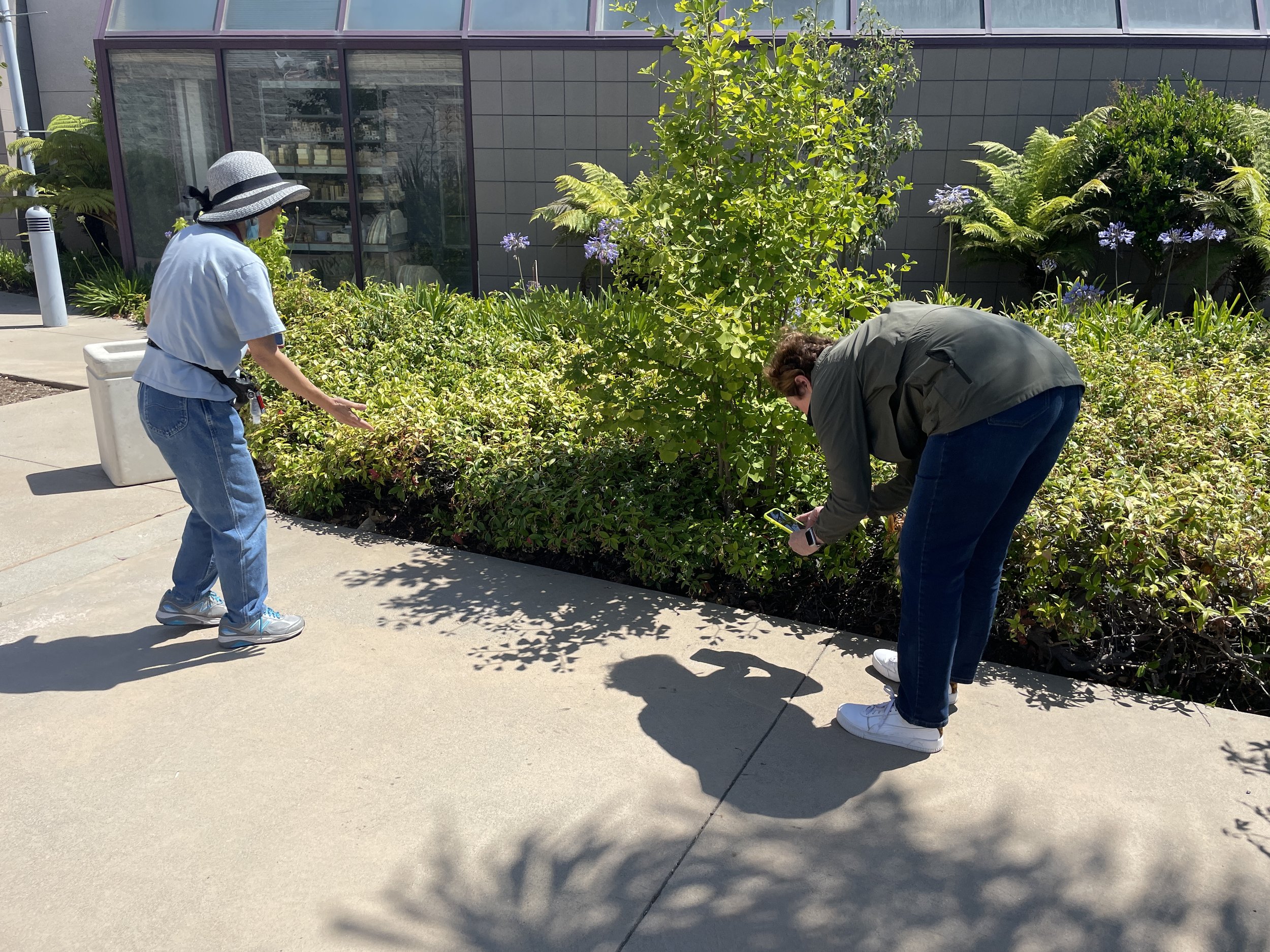 Shadow photography workshop participants at Torrance Art Museum