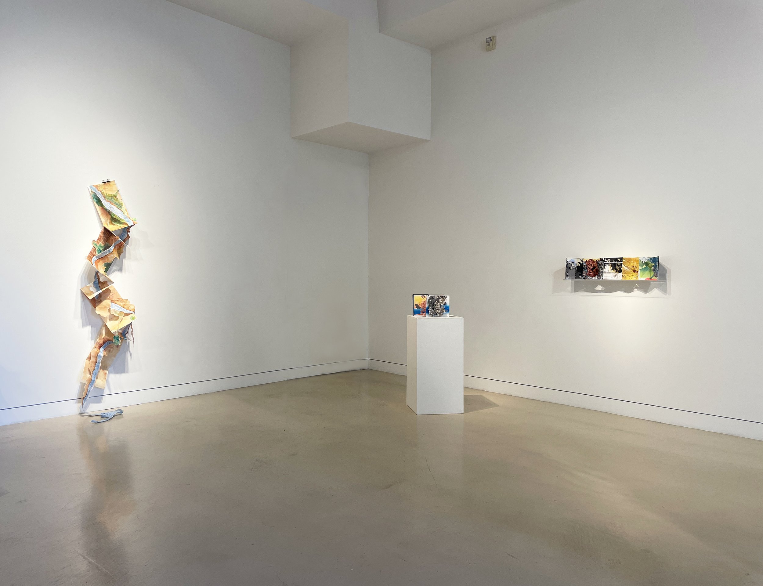 Trickle Down, installation view, Torrance Art Museum, 2022