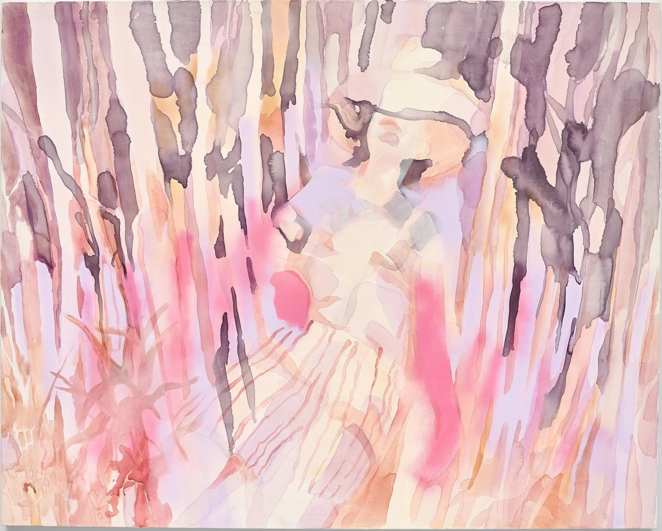 Dry Drayton, 2023, acrylic on canvas, 48"x60"/121x152cm