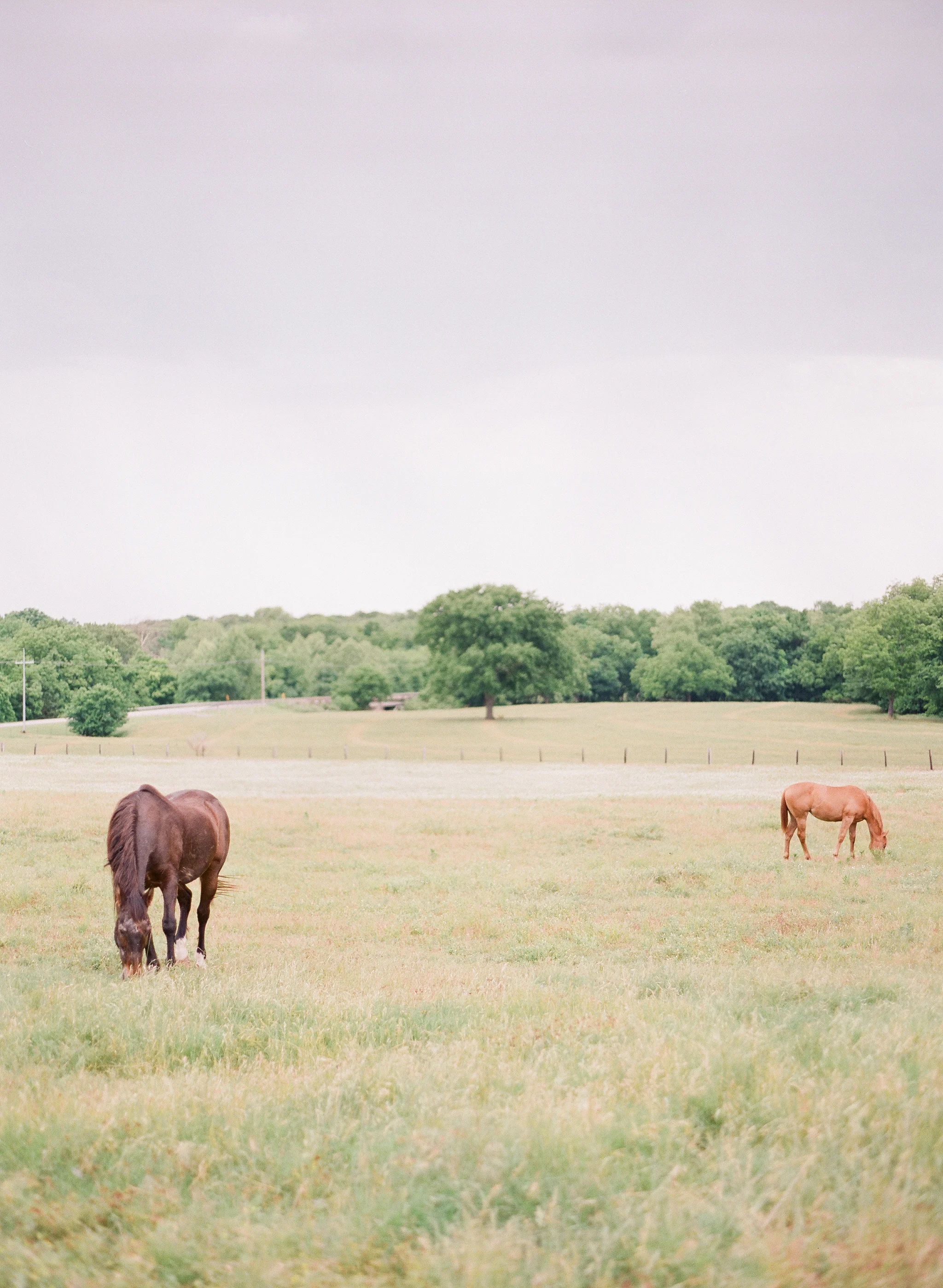 MorganWedding-20.jpg