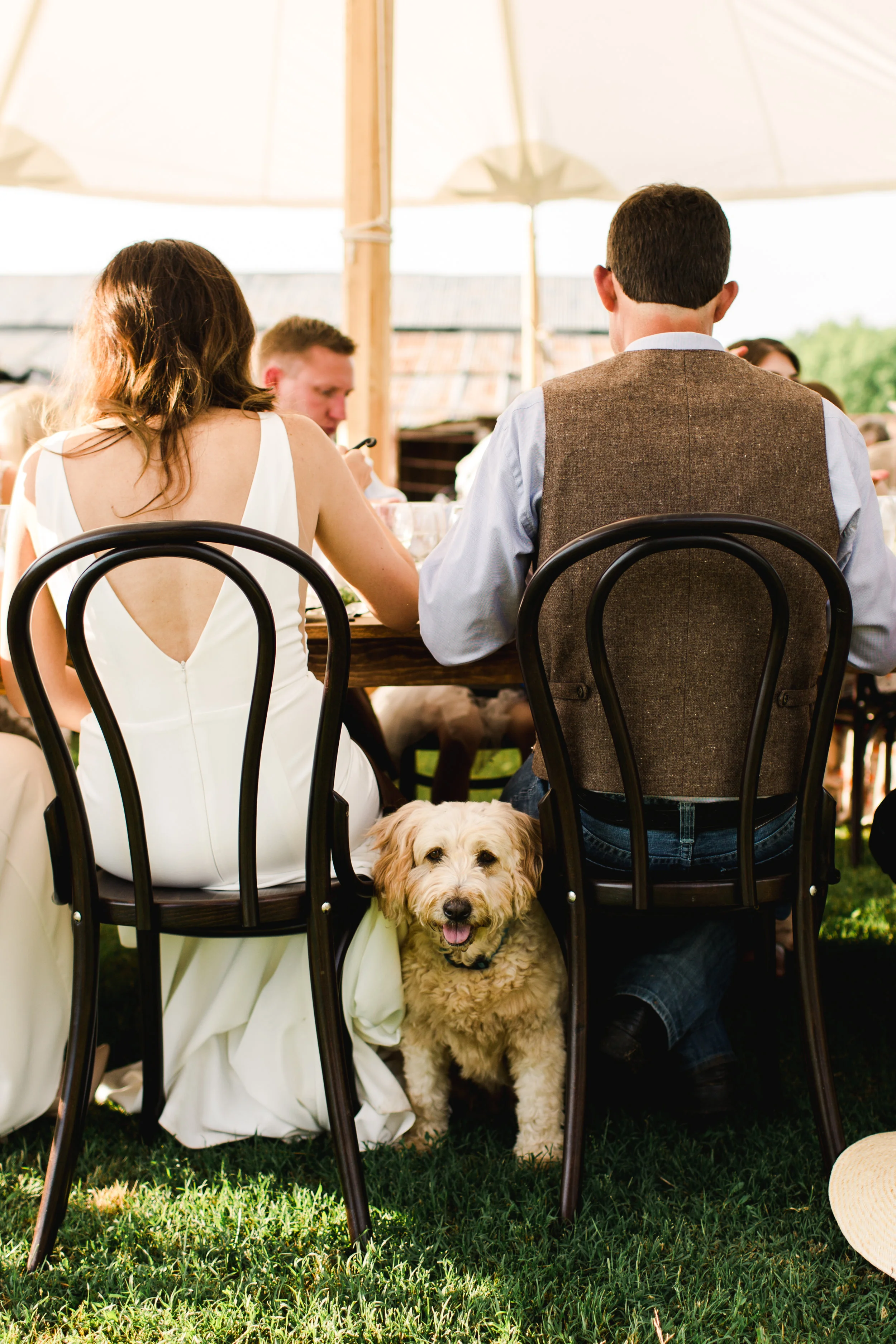 MorganWedding-450.jpg