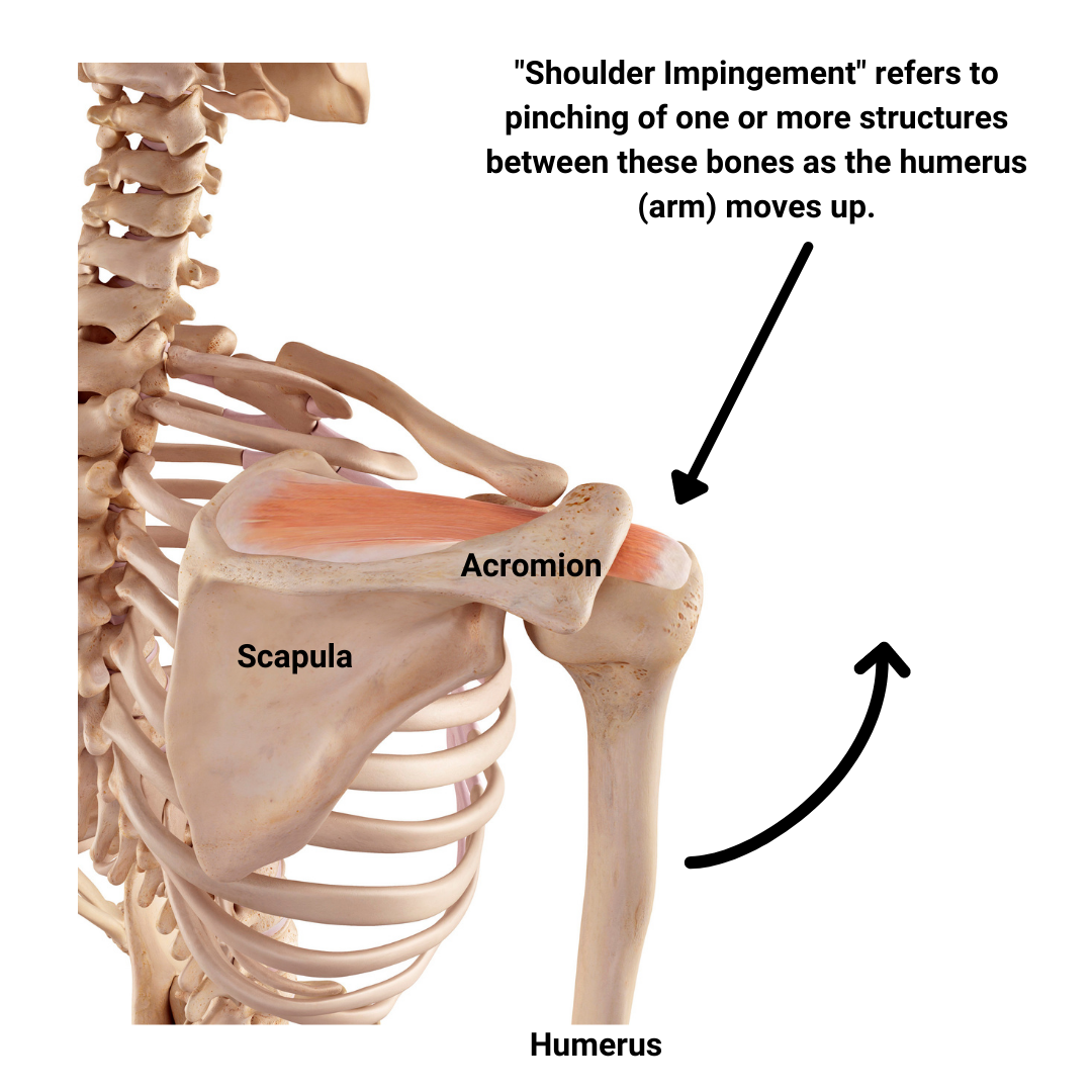What is shoulder impingement? Fix it without surgery — EVOLVE Flagstaff