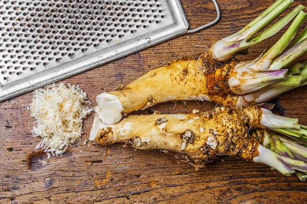 fresh grated horseradish on a kitchen table