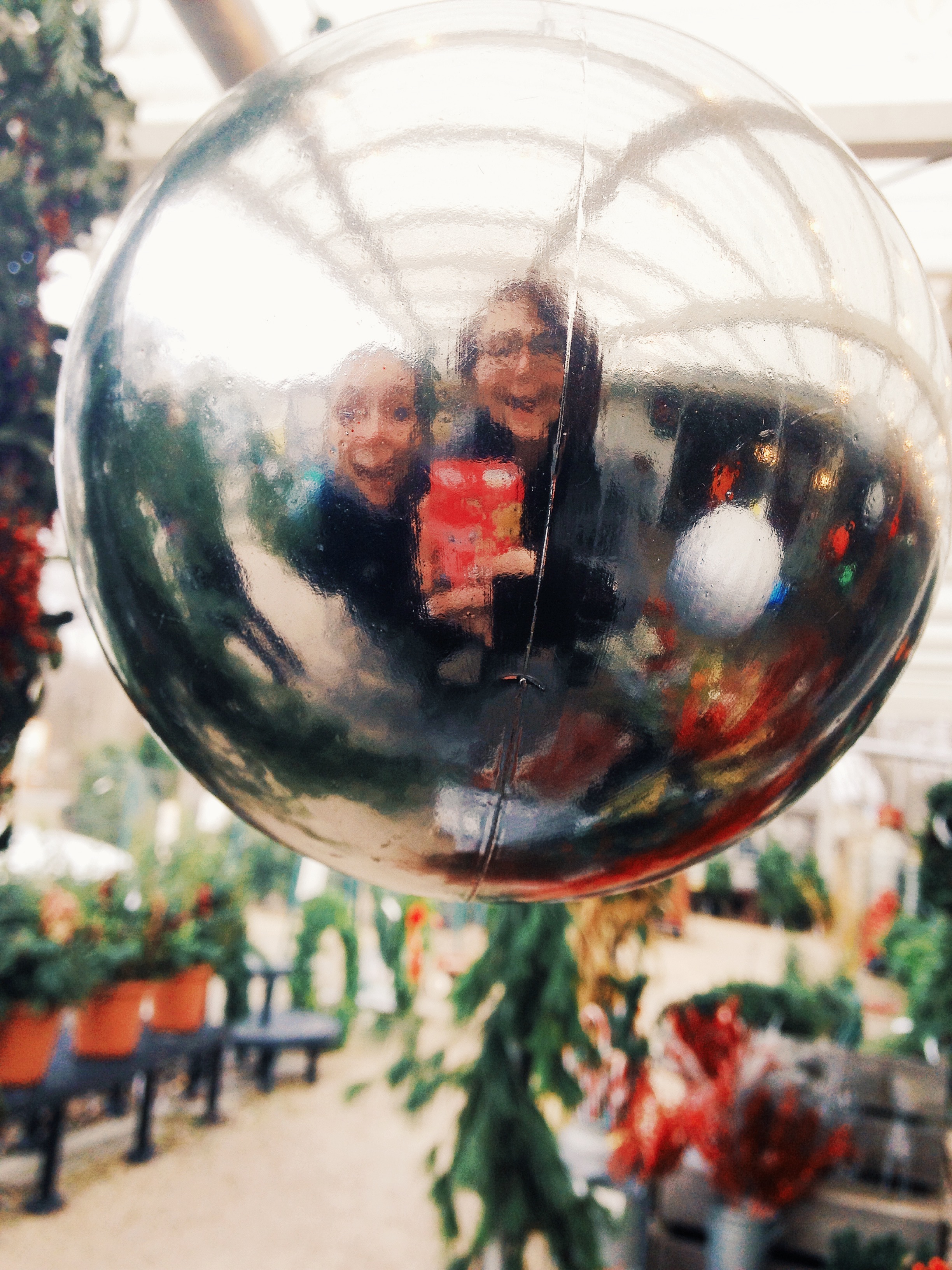 Ornament_Reflection.jpeg