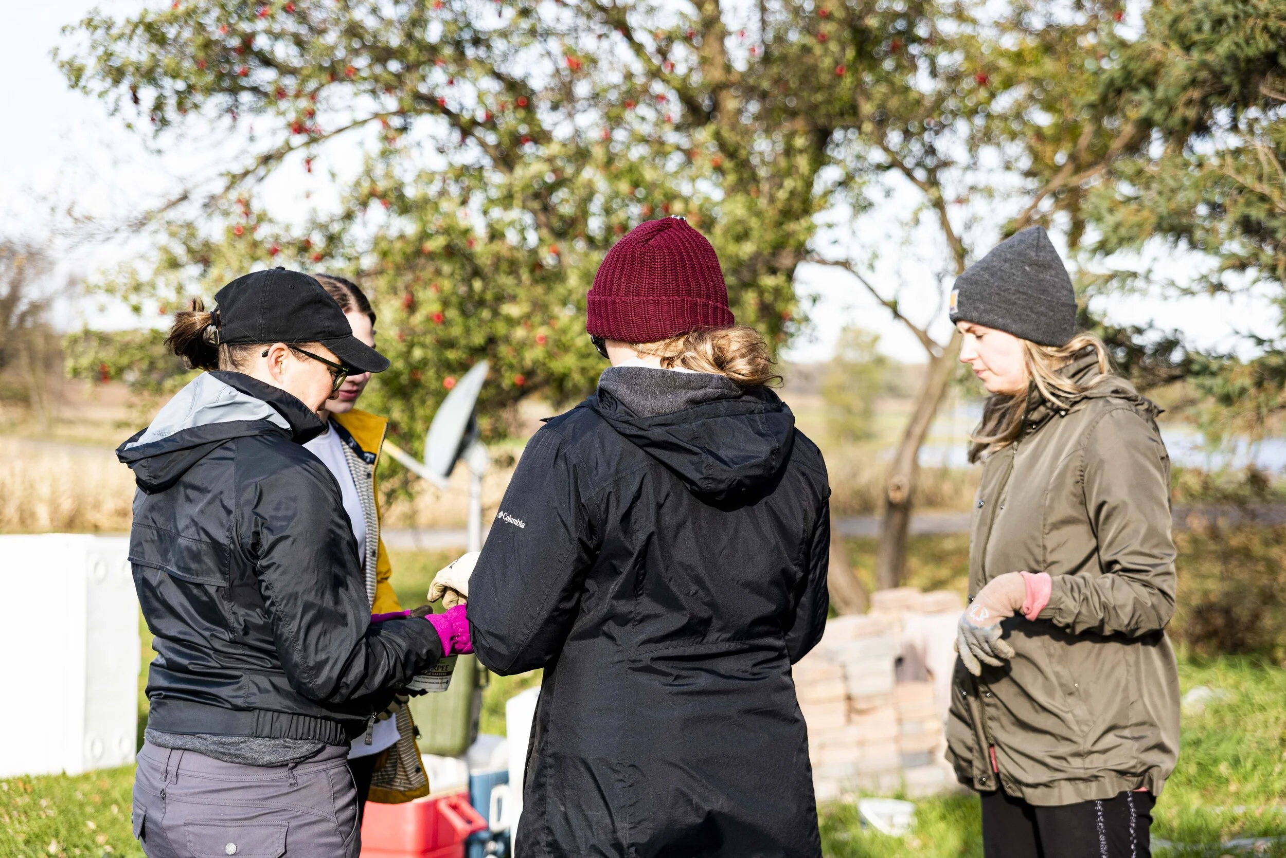 HabermanGarden_OCT2019.JPG