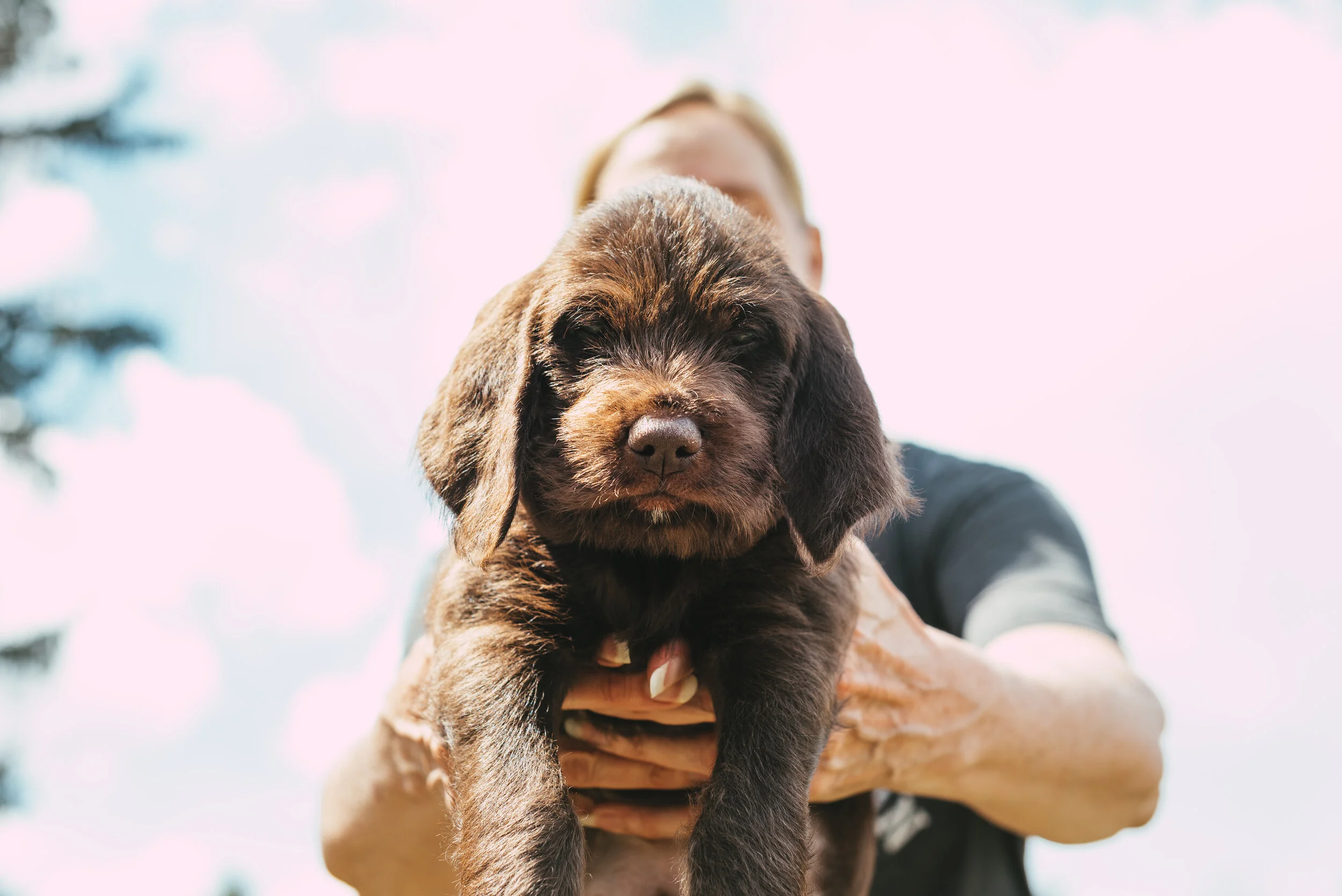 Meke_Litter#2_40.JPG