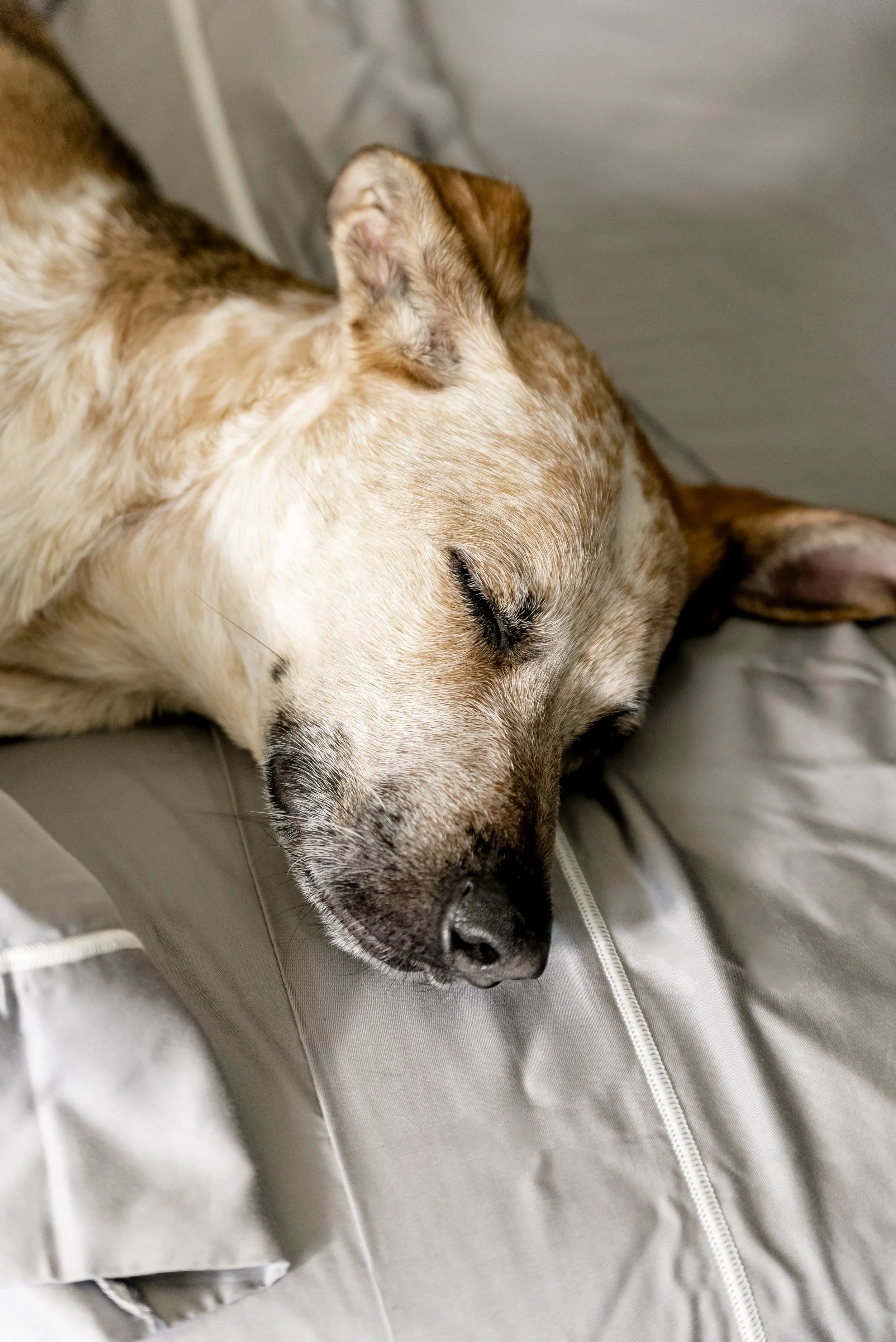 Layla_112421_0083 copy.jpg