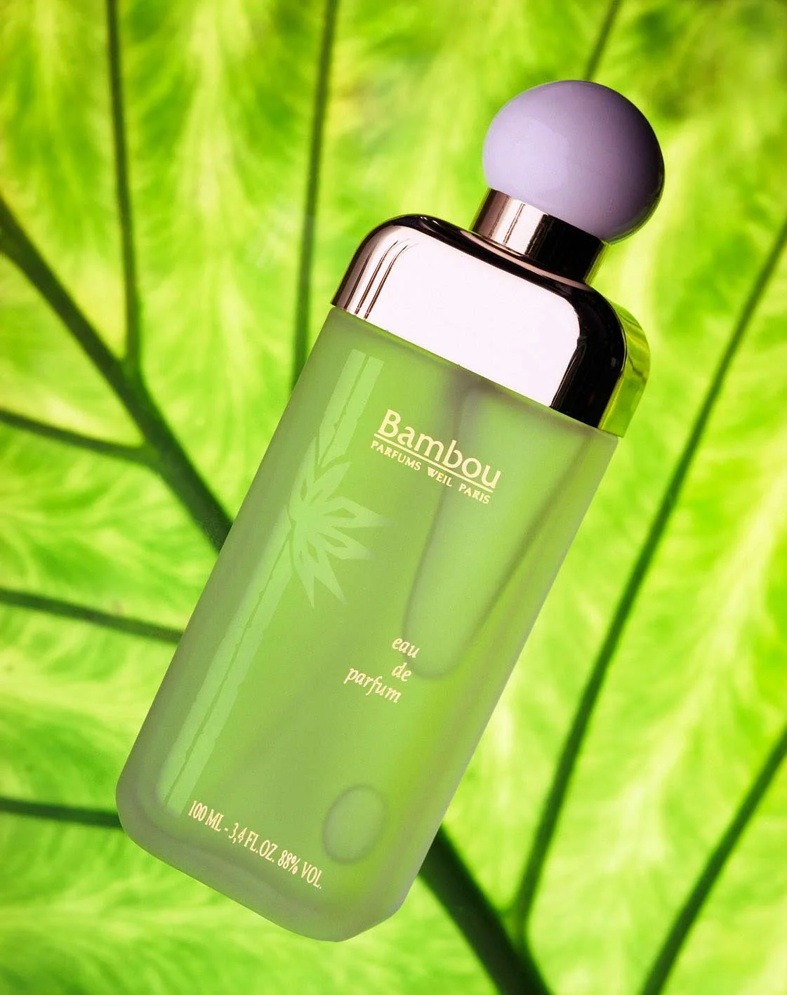 Photo Shoot studio Parfum Bambou Weil Paris