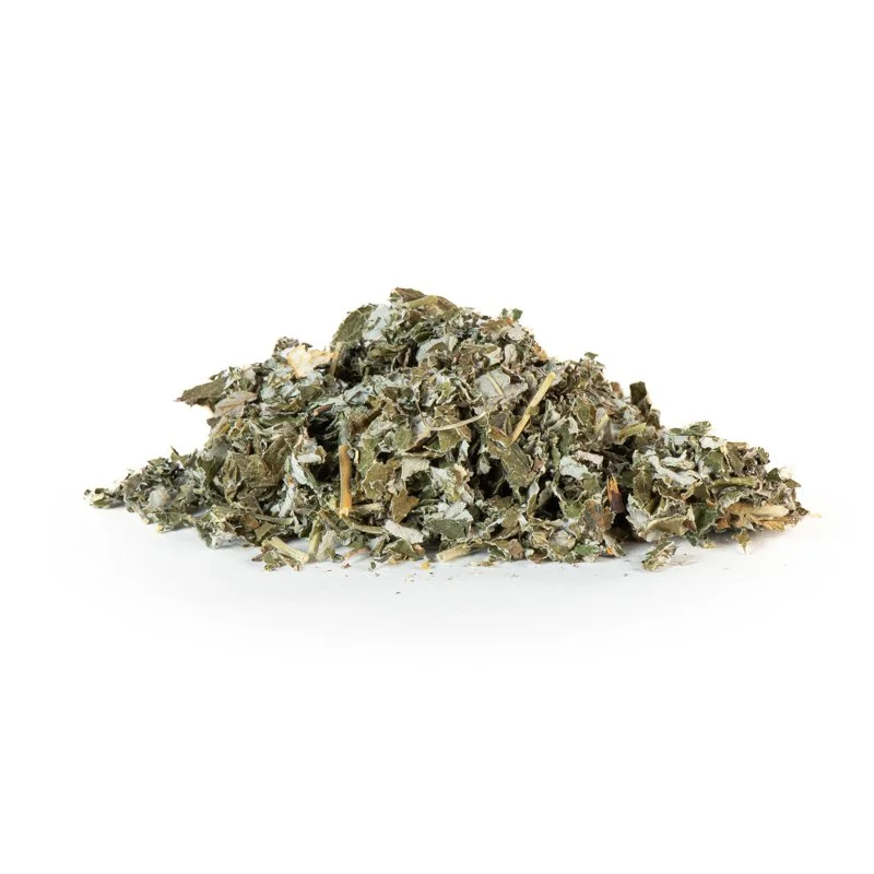 Feuilles de framboisier.jpg