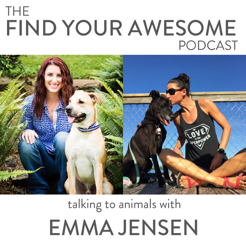 Talking to Animals with Emma Jensen — Kelsey Abbott | Human Design Reader +  Certified Professional Coach
