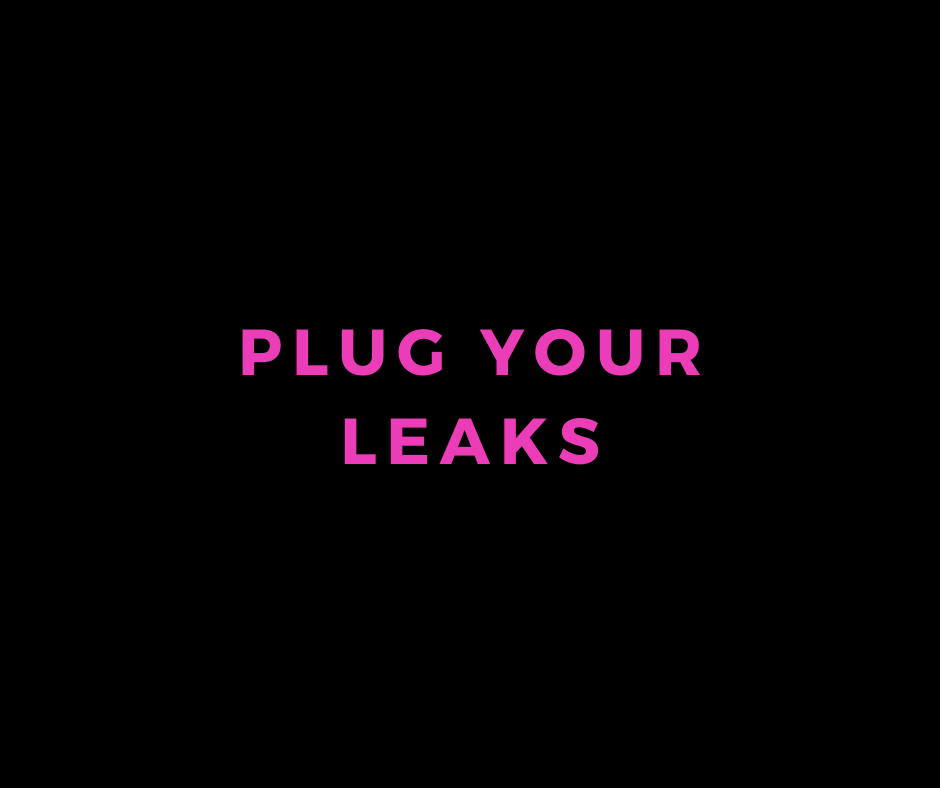 plug your leaks